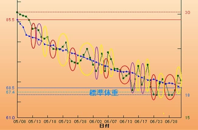 体重と体脂肪のグラフ作成で停滞期を完全攻略 ダイエット成功へ