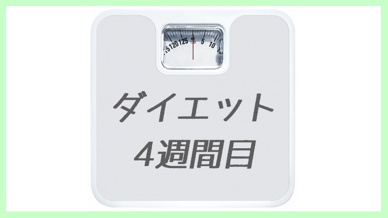 ダイエット4週間目の記録と考察 体重マイナス10キロ以上 やまだっくす